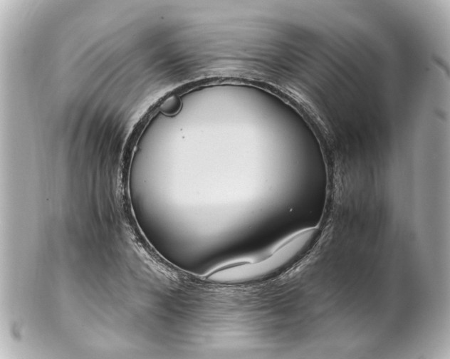 X0000100900880200807011218