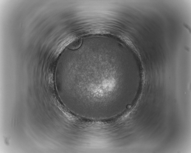 X0000100900881200807011218