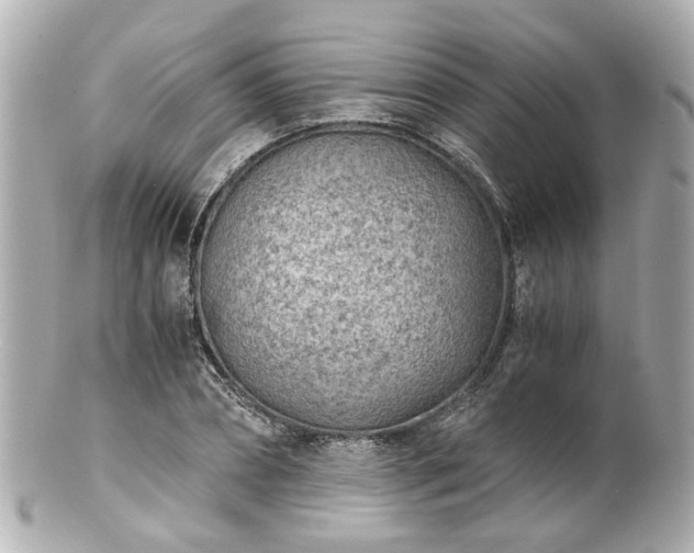 X0000100900882200807011218