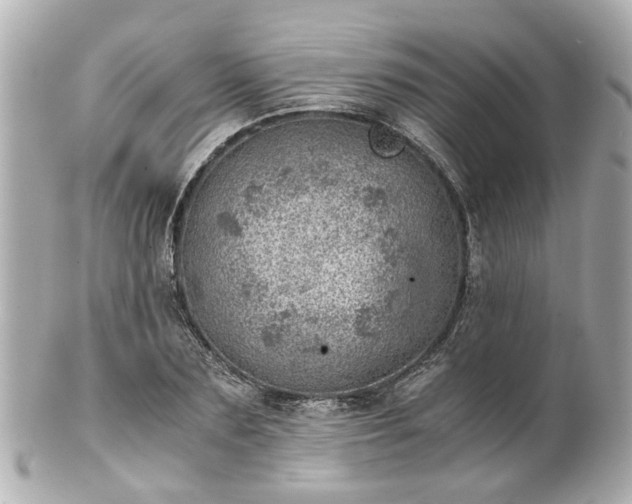 X0000100900883200807011218