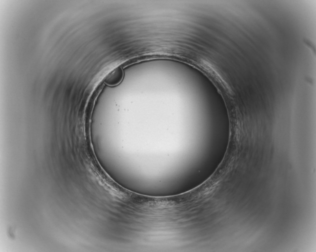 X0000100900884200807011218