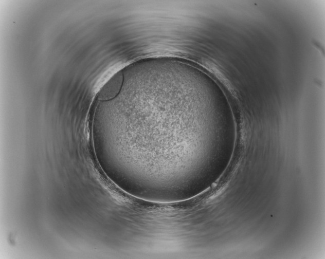 X0000100900885200807011218