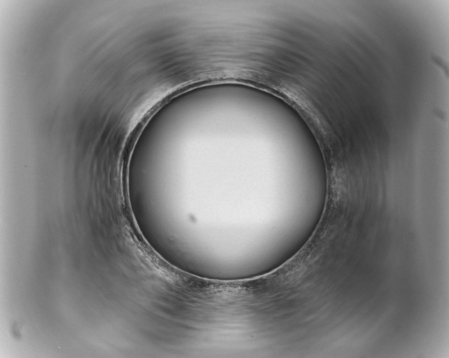 X0000100900886200807011218