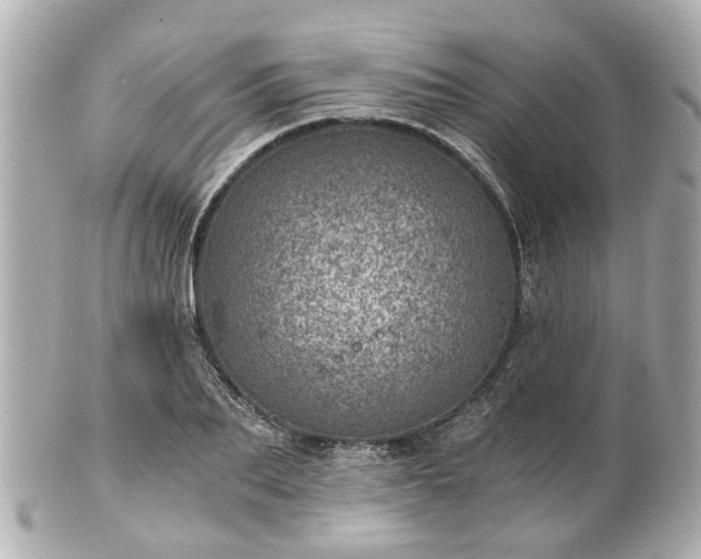 X0000100900887200807011218