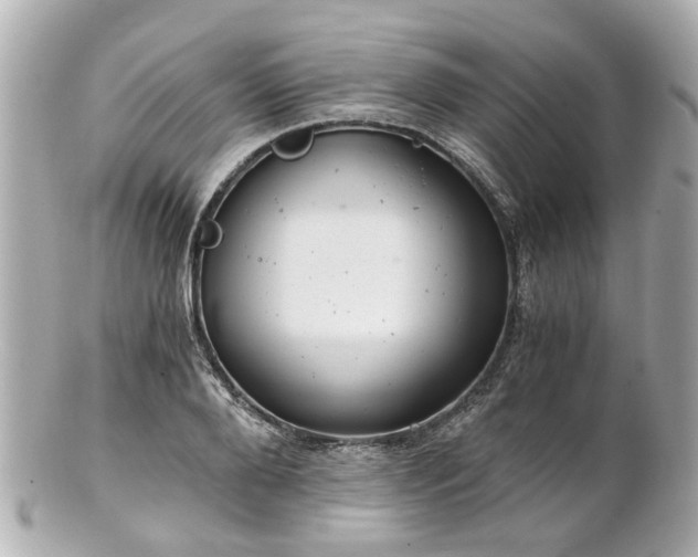 X0000100900888200807011218