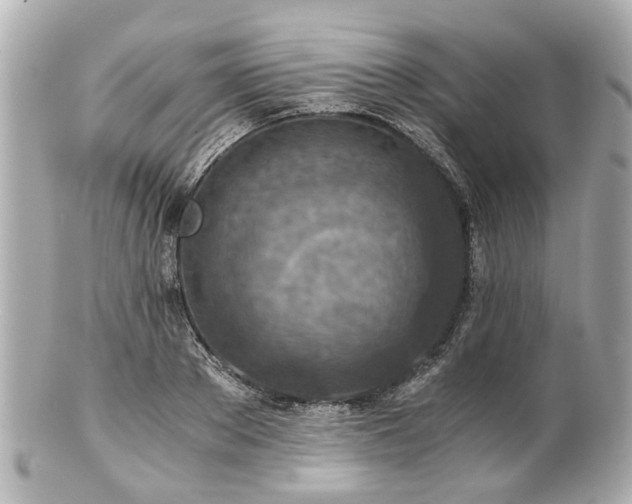 X0000100900889200807011218