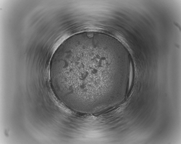 X0000100900891200807011218