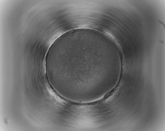 X0000100900892200807011218