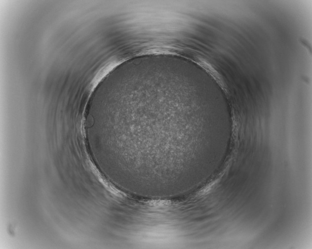 X0000100900893200807011218