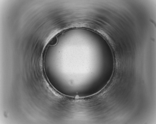 X0000100900894200807011218