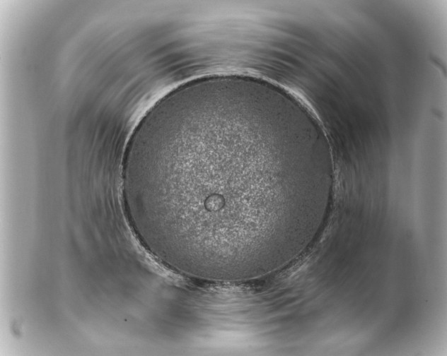 X0000100900895200807011218