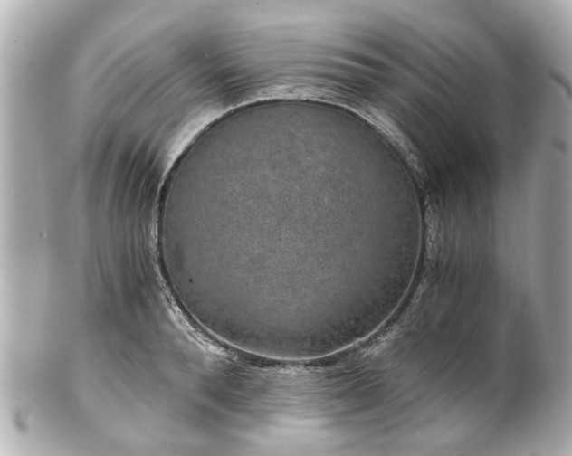 X0000100900896200807011218