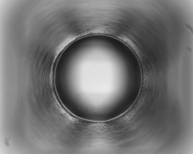 X0000100900902200807011217