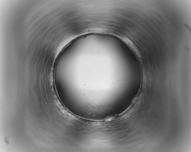 X0000100900904200807011217
