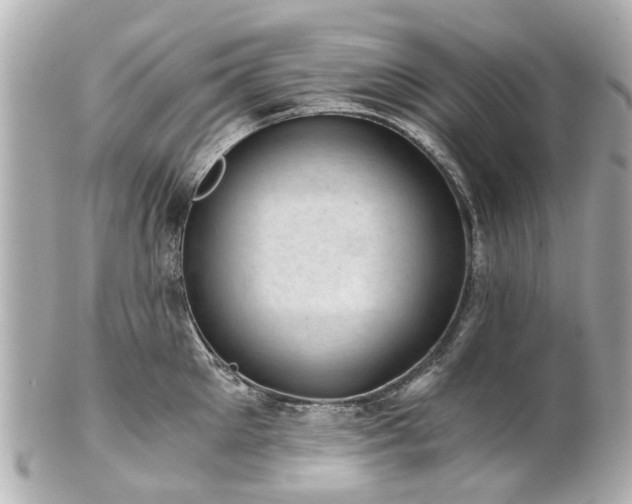X0000100900905200807011217