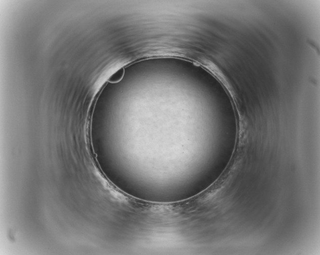 X0000100900909200807011217