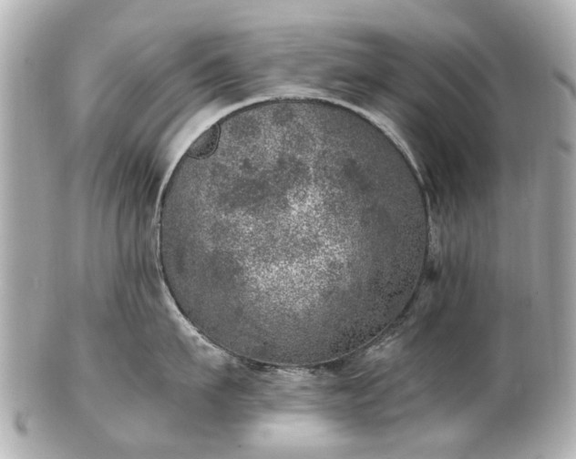 X0000100900911200807011217