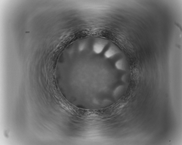 X0000100900913200807011217