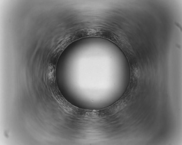 X0000100900914200807011217