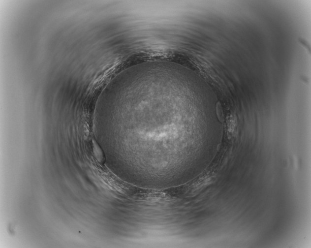X0000100900916200807011217