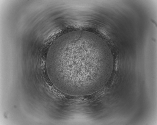 X0000100900917200807011217