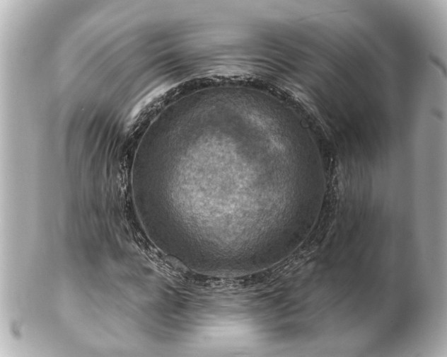 X0000100900920200807011217