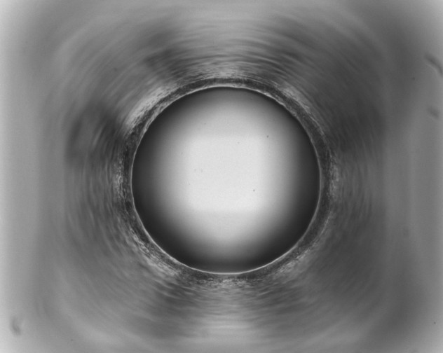 X0000100900922200807011217