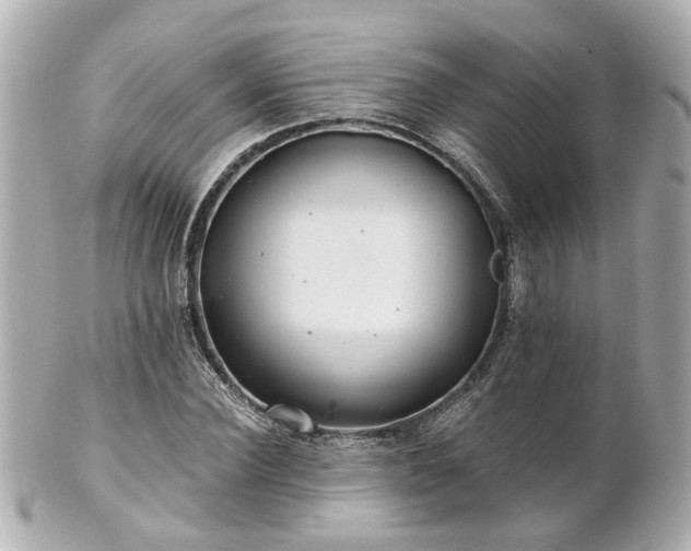 X0000100900924200807011217