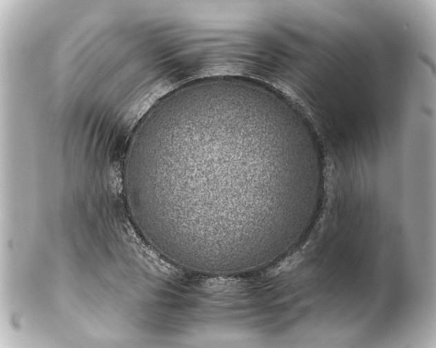 X0000100900929200807011217
