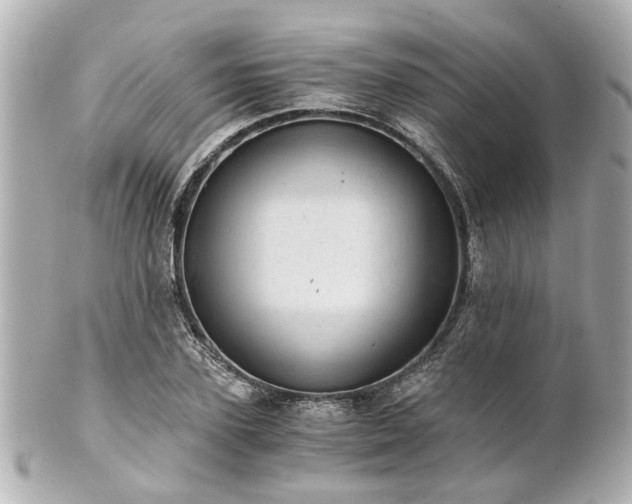 X0000100900931200807011217