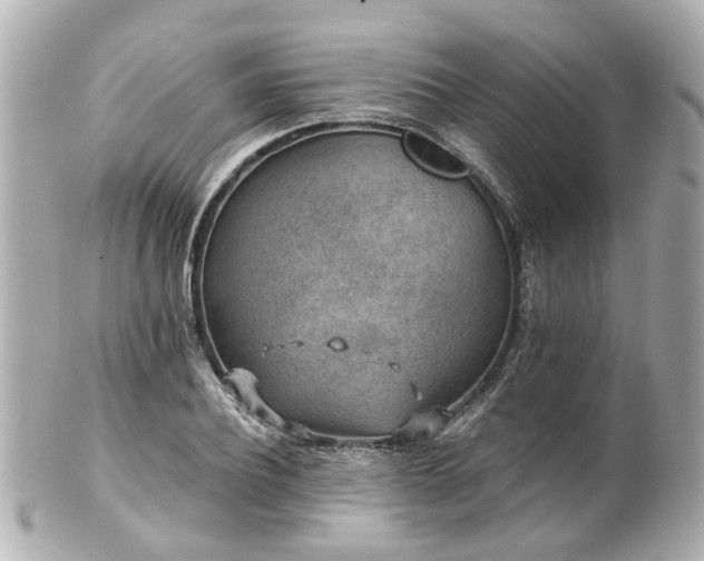 X0000100900932200807011217