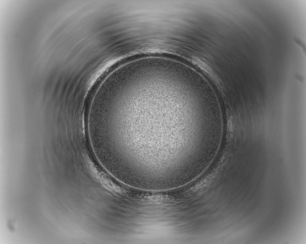 X0000100900934200807011217