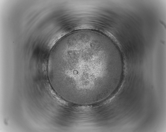 X0000100900937200807011217