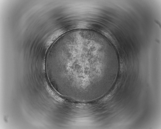 X0000100900938200807011217