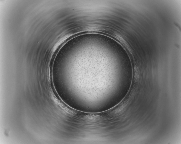 X0000100900939200807011217