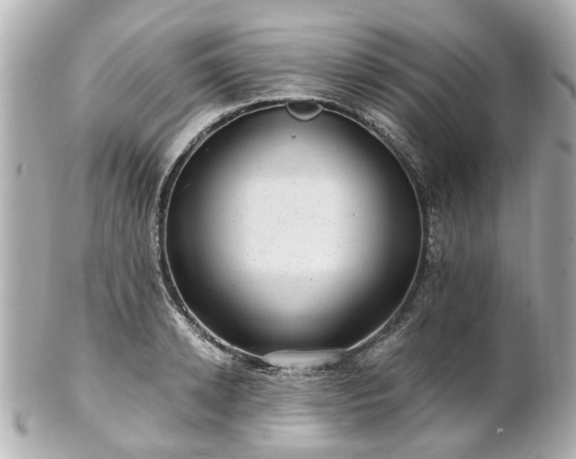 X0000100900942200807011217