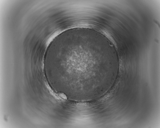 X0000100900944200807011217