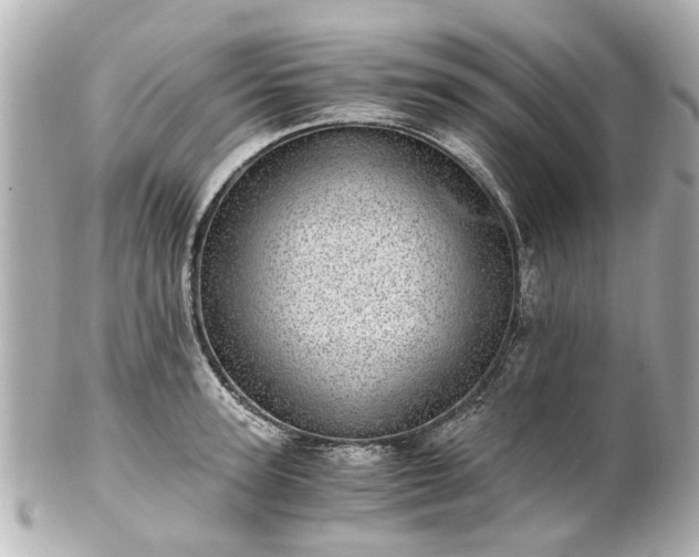 X0000100900947200807011217