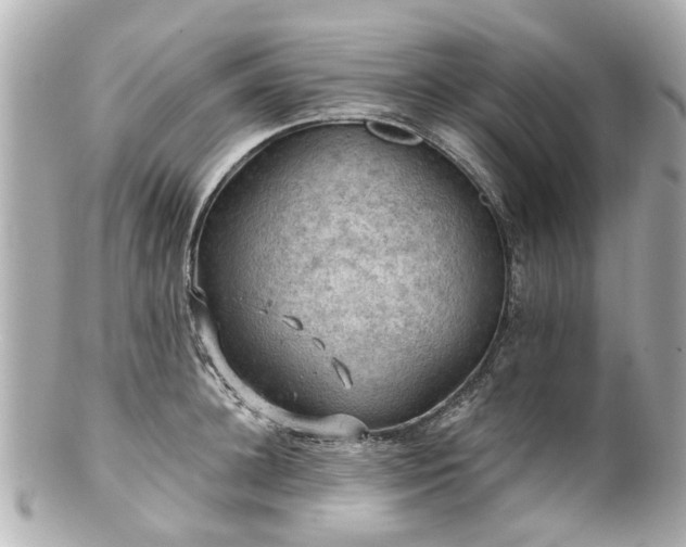 X0000100900948200807011217