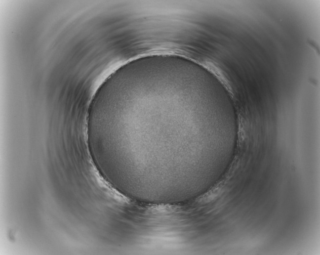 X0000100900950200807011217