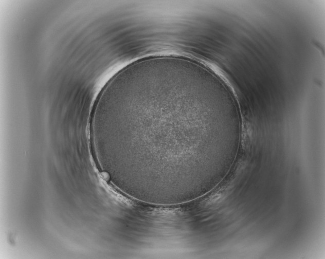 X0000100900951200807011217