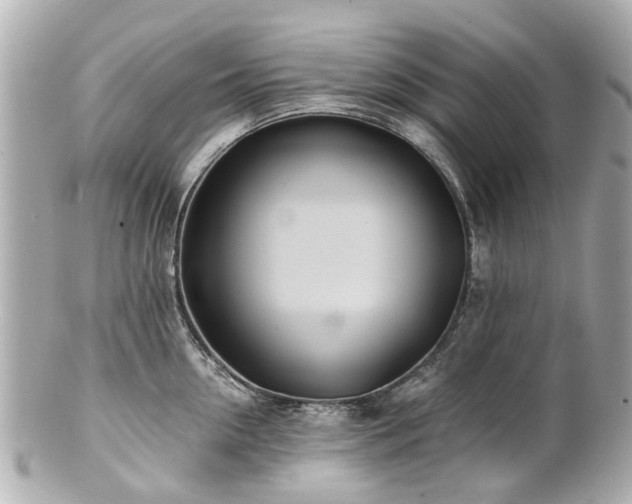 X0000100900954200807011217