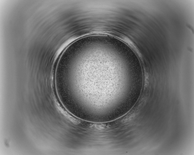 X0000100900955200807011217