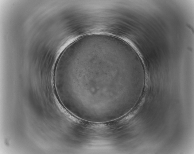 X0000100900957200807011217