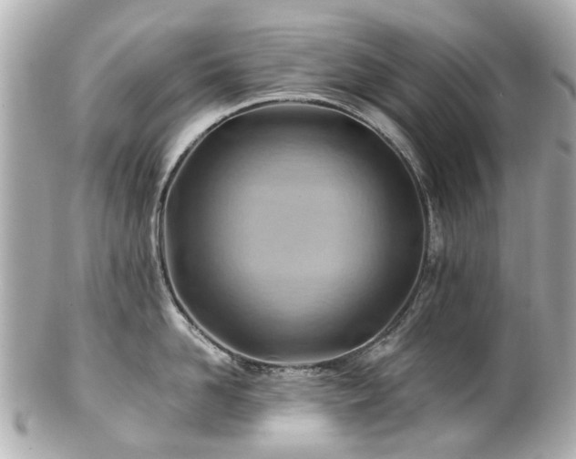X0000100900958200807011217