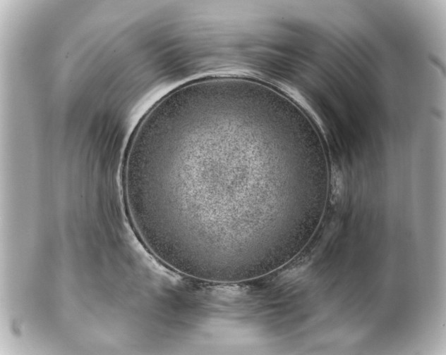 X0000100900959200807011217