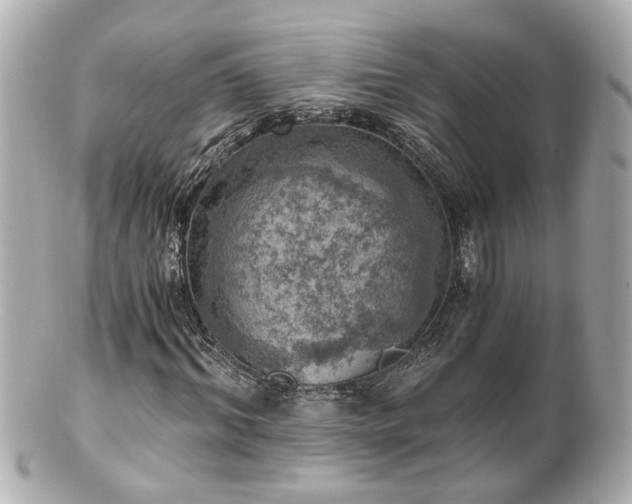 X0000100900964200807011217