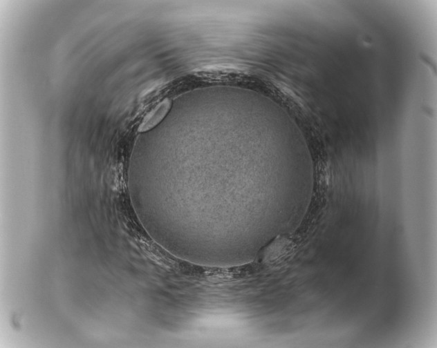 X0000100900965200807011217