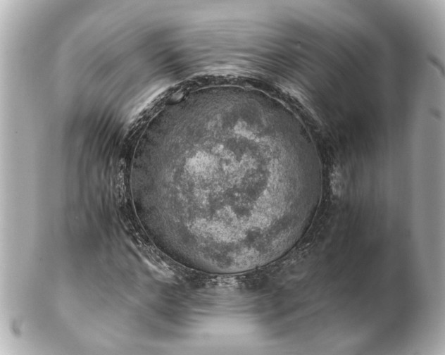 X0000100900968200807011216