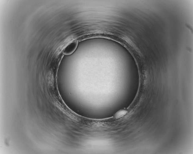 X0000100900969200807011216